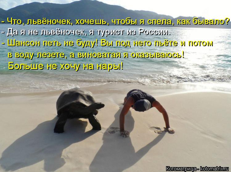 Котоматрица: - Что, львёночек, хочешь, чтобы я спела, как бывало? - Да я не львёночек, я турист из России. - Шансон петь не буду! Вы под него пьёте и потом в вод