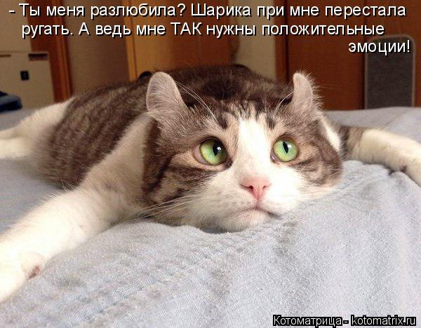 - Ты меня разлюбила? Шарика при мне перестала ругать. А ведь мне ТАК нужны положительные эмоции!... Котоматрица: - Ты меня разлюбила? Шарика при мне перестала ругать. А ведь мне ТАК нужны положительные эмоции!