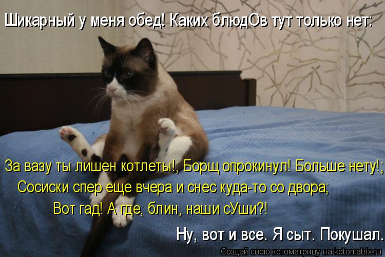 За вазу ты лишен котлеты!; Борщ опрокинул! Больше нету!; Сосиски спер еще вчера и снес куда-то со дво... Котоматрица: За вазу ты лишен котлеты!; Борщ опрокинул! Больше нету!; Сосиски спер еще вчера и снес куда-то со двора; Вот гад! А где, блин, наши сУши?! Ну, вот