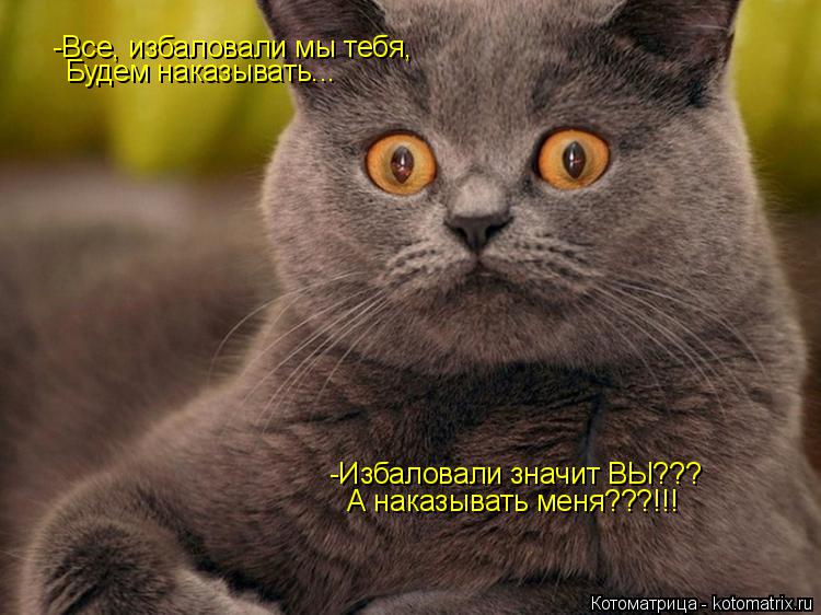 Котоматрица: -Все, избаловали мы тебя, Будем наказывать... -Избаловали значит ВЫ??? А наказывать меня???!!!