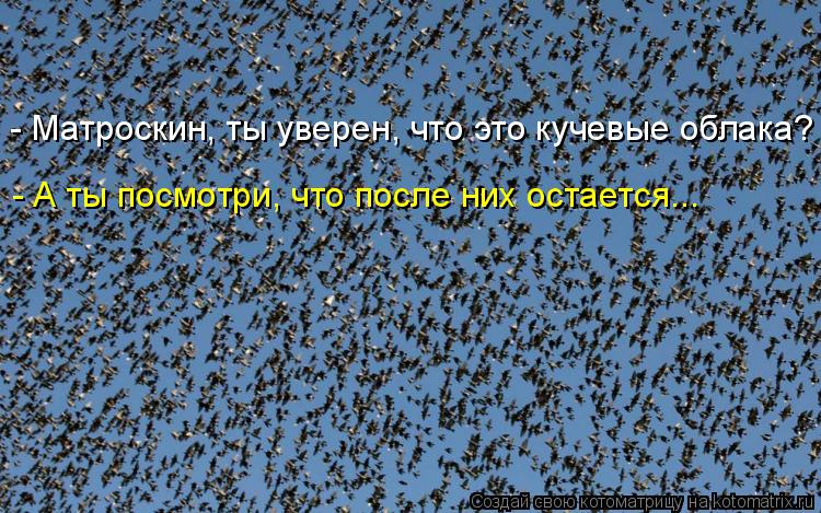 - Матроскин, ты уверен, что это кучевые облака? - А ты посмотри, что после них остается...... Котоматрица: - Матроскин, ты уверен, что это кучевые облака? - А ты посмотри, что после них остается...