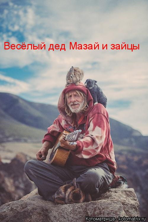Котоматрица: Весёлый дед Мазай и зайцы