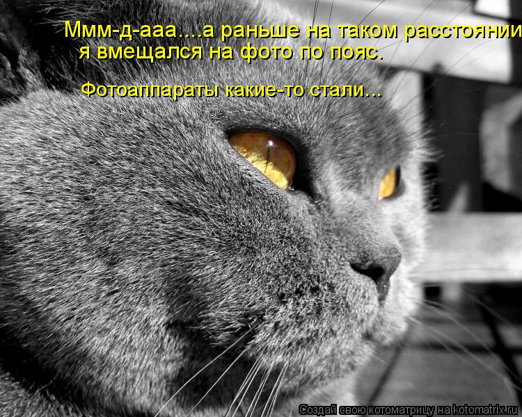 Котоматрица: Ммм-д-ааа....а раньше на таком расстоянии Фотоаппараты какие-то стали... я вмещался на фото по пояс.