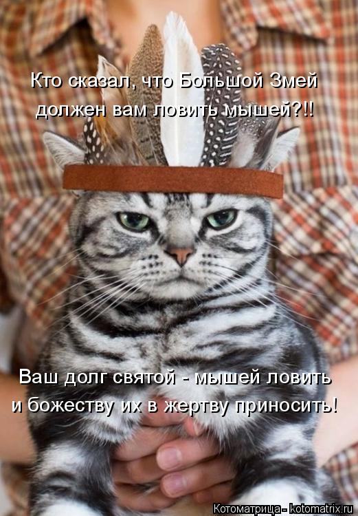 Котоматрица: Кто сказал, что Большой Змей должен вам ловить мышей?!! Ваш долг святой - мышей ловить и божеству их в жертву приносить!