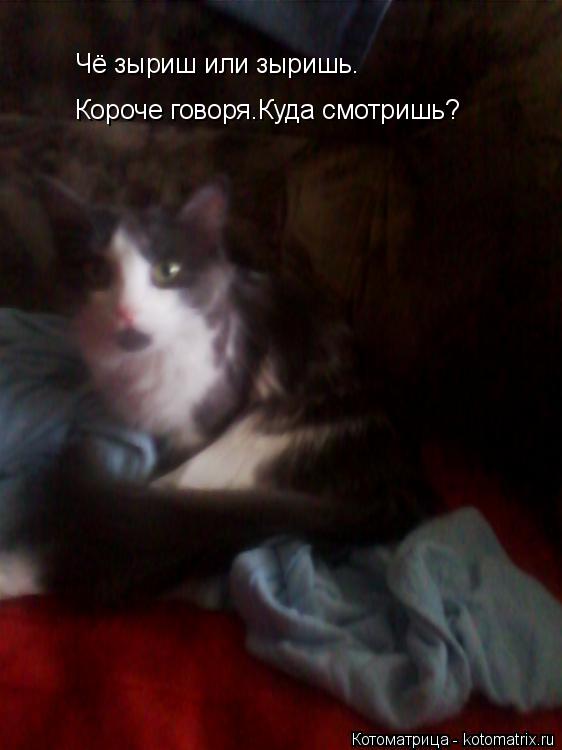Котоматрица: Чё зыриш или зыришь.Короче говоря.Куда смотришь?  Чё зыриш или зыришь.Короче говоря.Куда смотришь?  Чё зыриш или зыришь.                                       