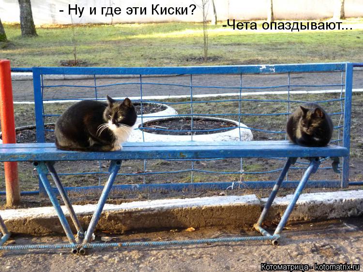 - Ну и где эти Киски? -Чета опаздывают...... Котоматрица: - Ну и где эти Киски? -Чета опаздывают...