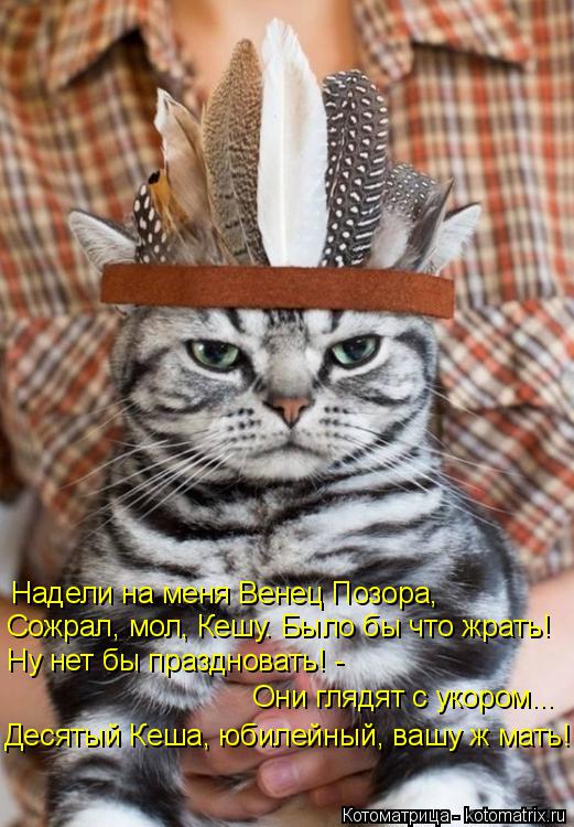 Надели на меня Венец Позора, Сожрал, мол, Кешу. Было бы что жрать! Ну нет бы праздновать! - Они гляд... Котоматрица: Надели на меня Венец Позора, Сожрал, мол, Кешу. Было бы что жрать! Ну нет бы праздновать! - Они глядят с укором... Десятый Кеша, юбилейный, вашу