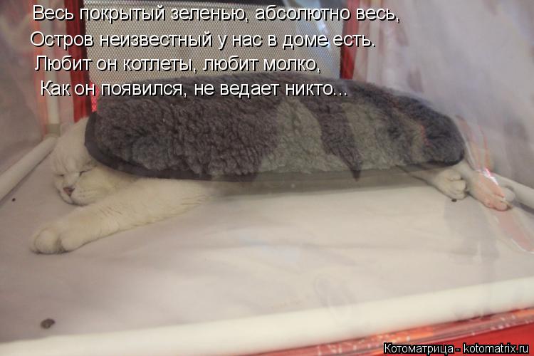 Котоматрица: Весь покрытый зеленью, абсолютно весь, Остров неизвестный у нас в доме есть. Любит он котлеты, любит молко, Как он появился, не ведает никто...