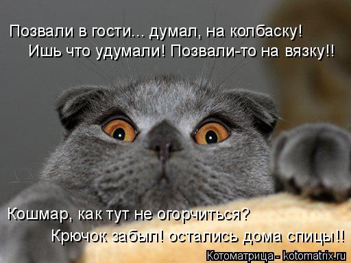 Котоматрица: Позвали в гости... думал, на колбаску! Ишь что удумали! Позвали-то на вязку!! Кошмар, как тут не огорчиться? Крючок забыл! остались дома спицы!!