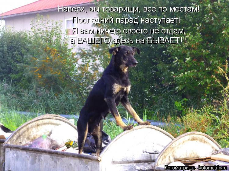 Наверх, вы товарищи, все по местам! Последний парад наступает! Я вам ничего своего не отдам, а ВАШЕГО... Котоматрица: Наверх, вы товарищи, все по местам! Последний парад наступает! Я вам ничего своего не отдам, а ВАШЕГО здесь на БЫВАЕТ!