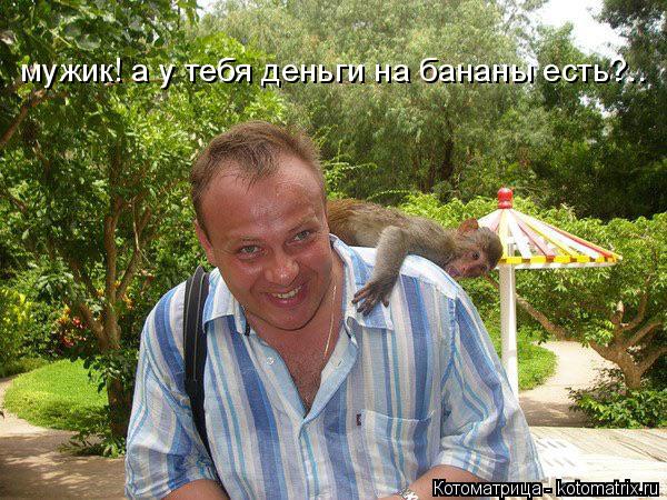 Котоматрица: мужик! а у тебя деньги на бананы есть?..