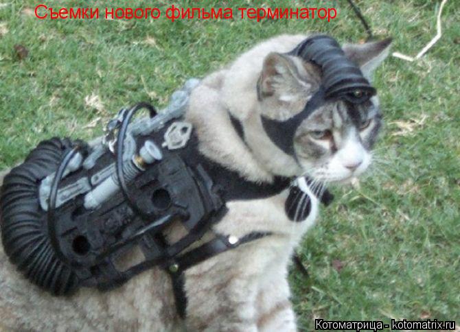 Съемки нового фильма терминатор... Котоматрица: Съемки нового фильма терминатор