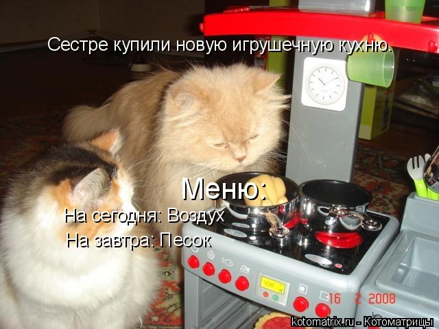 Котоматрица: На сегодня: Воздух На завтра: Песок Меню: Сестре купили новую игрушечную кухню.