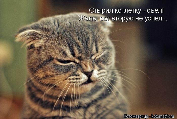 Стырил котлетку - съел! Жаль, вот вторую не успел...... Котоматрица: Стырил котлетку - съел! Жаль, вот вторую не успел...