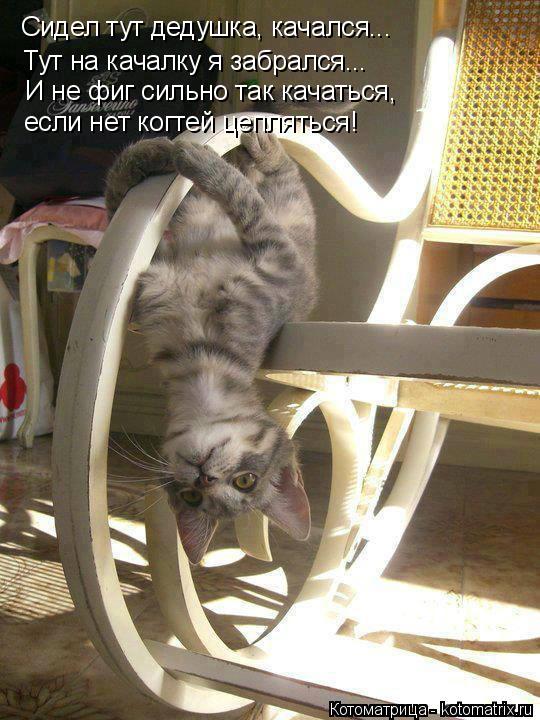 Сидел тут дедушка, качался... Тут на качалку я забрался... И не фиг сильно так качаться, если нет ко... Котоматрица: Сидел тут дедушка, качался... Тут на качалку я забрался... И не фиг сильно так качаться, если нет когтей цепляться!