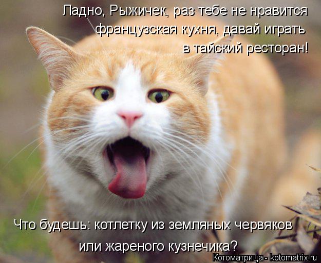 Котоматрица: Ладно, Рыжичек, раз тебе не нравится  французская кухня, давай играть  в тайский ресторан! Что будешь: котлетку из земляных червяков  или жар