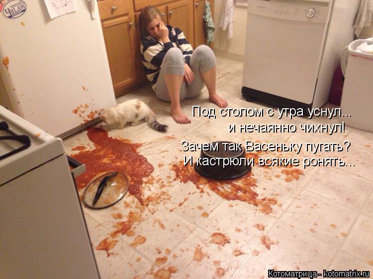 Котоматрица: Под столом с утра уснул... и нечаянно чихнул! Зачем так Васеньку пугать? И кастрюли всякие ронять...