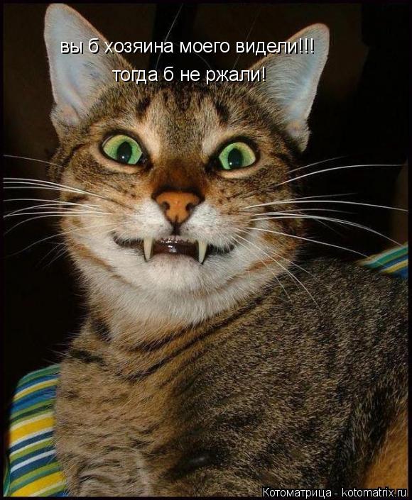 вы б хозяина моего видели!!! тогда б не ржали!... Котоматрица: вы б хозяина моего видели!!! тогда б не ржали!