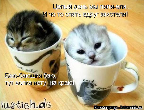 Целый день мы пили-ели... И чо то спать вдруг захотели! Баю-баюшки баю, тут волка нету на краю!... Котоматрица: Целый день мы пили-ели... И чо то спать вдруг захотели! Баю-баюшки баю, тут волка нету на краю!