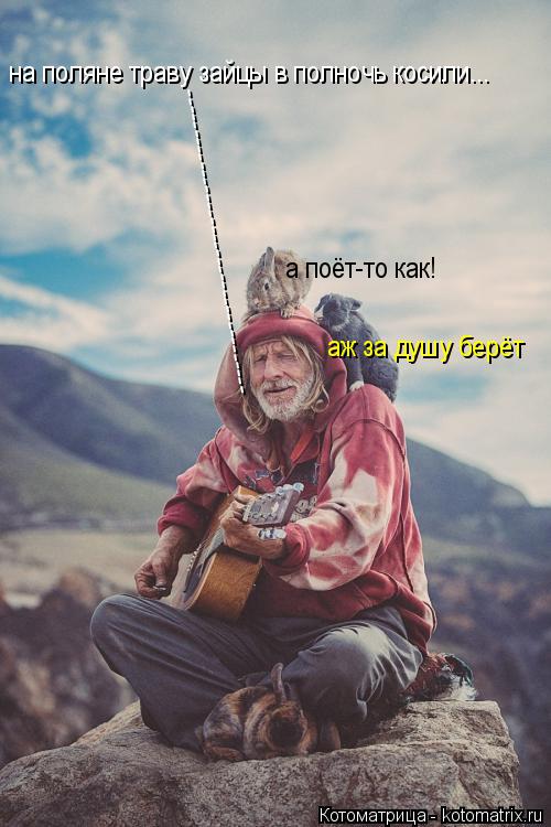 на поляне траву зайцы в полночь косили... -------------------------------------- аж за душу берёт а п... Котоматрица: на поляне траву зайцы в полночь косили... -------------------------------------- аж за душу берёт а поёт-то как!