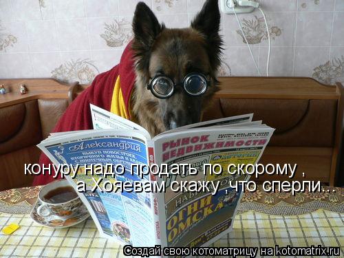 конуру надо продать по скорому , а Хояевам скажу ,что сперли...... Котоматрица: конуру надо продать по скорому , а Хояевам скажу ,что сперли...