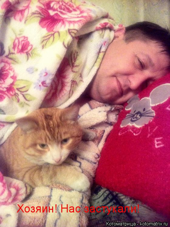 Хозяин! Нас застукали!... Котоматрица: Хозяин! Нас застукали!