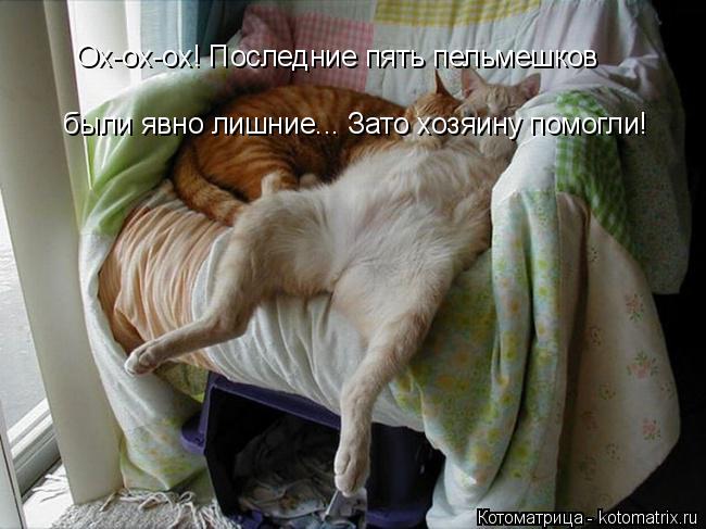 Ох-ох-ох! Последние пять пельмешков были явно лишние... Зато хозяину помогли!... Котоматрица: Ох-ох-ох! Последние пять пельмешков были явно лишние... Зато хозяину помогли!