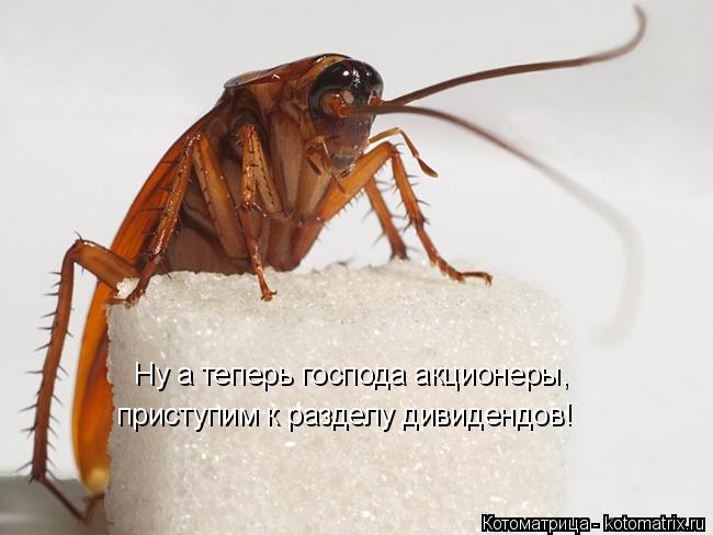 Ну а теперь господа акционеры, приступим к разделу дивидендов!... Котоматрица: Ну а теперь господа акционеры, приступим к разделу дивидендов!