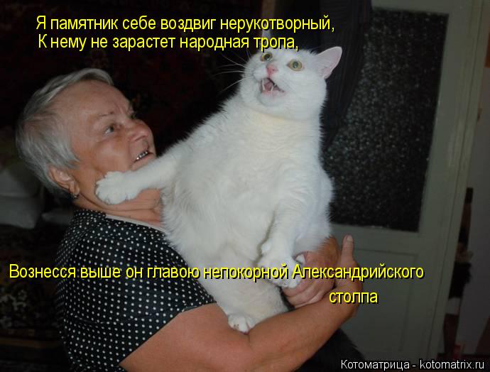 Я памятник себе воздвиг нерукотворный, К нему не зарастет народная тропа, Вознесся выше он главою не... Котоматрица: Я памятник себе воздвиг нерукотворный, К нему не зарастет народная тропа, Вознесся выше он главою непокорной Александрийского столпа