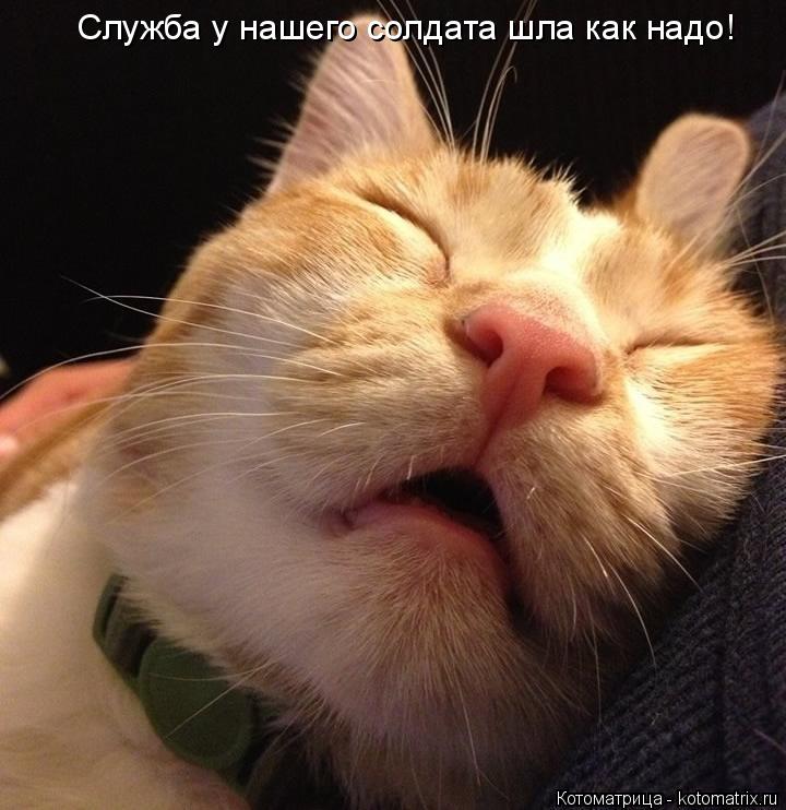 Служба у нашего солдата шла как надо!... Котоматрица: Служба у нашего солдата шла как надо!