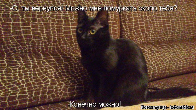 -О, ты вернулся! Можно мне помуркать около тебя? -Конечно можно!... Котоматрица: -О, ты вернулся! Можно мне помуркать около тебя? -Конечно можно!