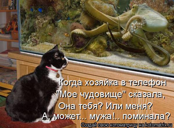 Когда хозяйка в телефон "Мое чудовище" сказала, Она тебя? Или меня? А, может... мужа!.. поминала?... Котоматрица: Когда хозяйка в телефон "Мое чудовище" сказала, Она тебя? Или меня? А, может... мужа!.. поминала?