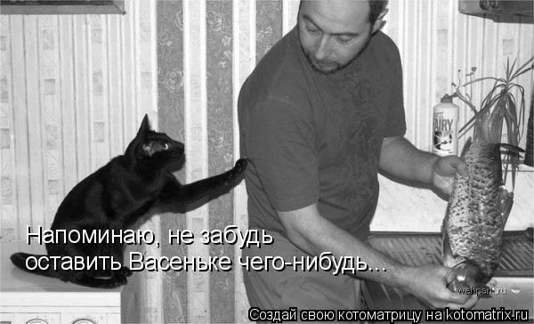 Напоминаю, не забудь оставить Васеньке чего-нибудь...... Котоматрица: Напоминаю, не забудь оставить Васеньке чего-нибудь...