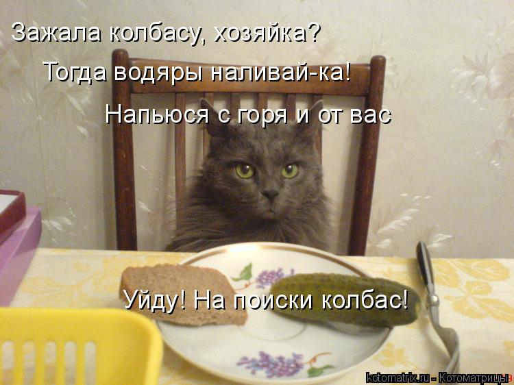Зажала колбасу, хозяйка? Тогда водяры наливай-ка! Напьюся с горя и от вас Уйду! На поиски колбас!... Котоматрица: Зажала колбасу, хозяйка? Тогда водяры наливай-ка! Напьюся с горя и от вас Уйду! На поиски колбас!