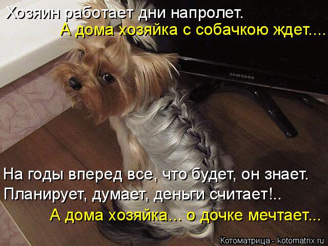 А дома хозяйка с собачкою ждет.... На годы вперед все, что будет, он знает. Планирует, думает, деньги... Котоматрица: А дома хозяйка с собачкою ждет.... На годы вперед все, что будет, он знает. Планирует, думает, деньги считает!.. Хозяин работает дни напролет. А