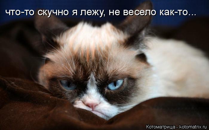 что-то скучно я лежу, не весело как-то...... Котоматрица: что-то скучно я лежу, не весело как-то...