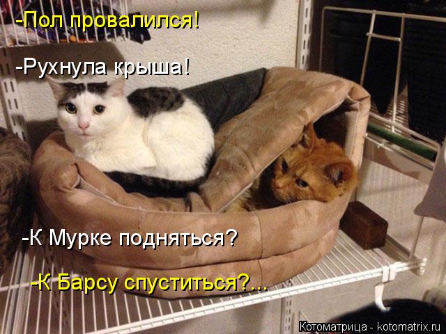 -Пол провалился! -Рухнула крыша! -К Мурке подняться? -К Барсу спуститься?...... Котоматрица: -Пол провалился! -Рухнула крыша! -К Мурке подняться? -К Барсу спуститься?...