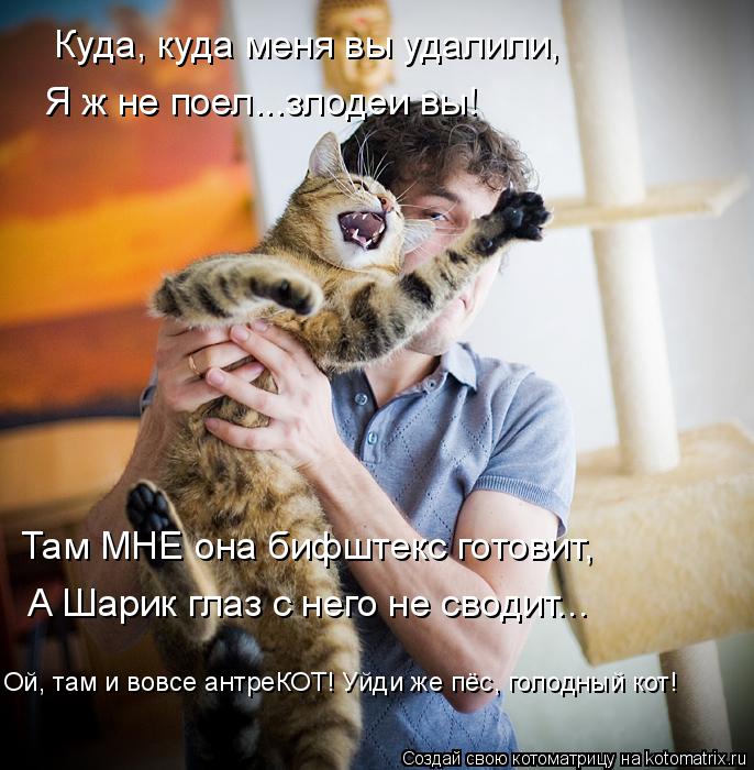 Я ж не поел...злодеи вы! А Шарик глаз с него не сводит... Там МНЕ она бифштекс готовит, Ой, там и вов... Котоматрица: Я ж не поел...злодеи вы! А Шарик глаз с него не сводит... Там МНЕ она бифштекс готовит, Ой, там и вовсе антреКОТ! Уйди же пёс, голодный кот! Куда,