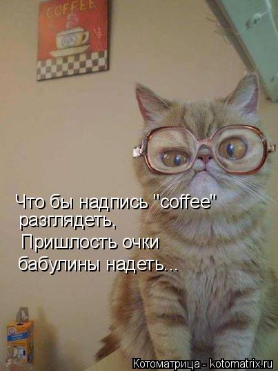 Что бы надпись "coffee" разглядеть, Пришлость очки бабулины надеть...... Котоматрица: Что бы надпись "coffee" разглядеть, Пришлость очки бабулины надеть...