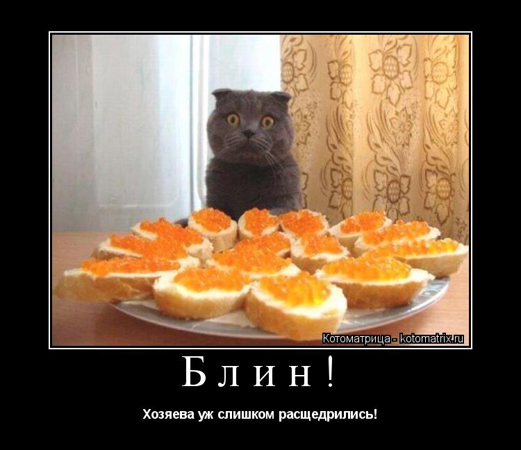 Блин! Хозяева уж слишком расщедрились!... Котоматрица: Блин! Хозяева уж слишком расщедрились!
