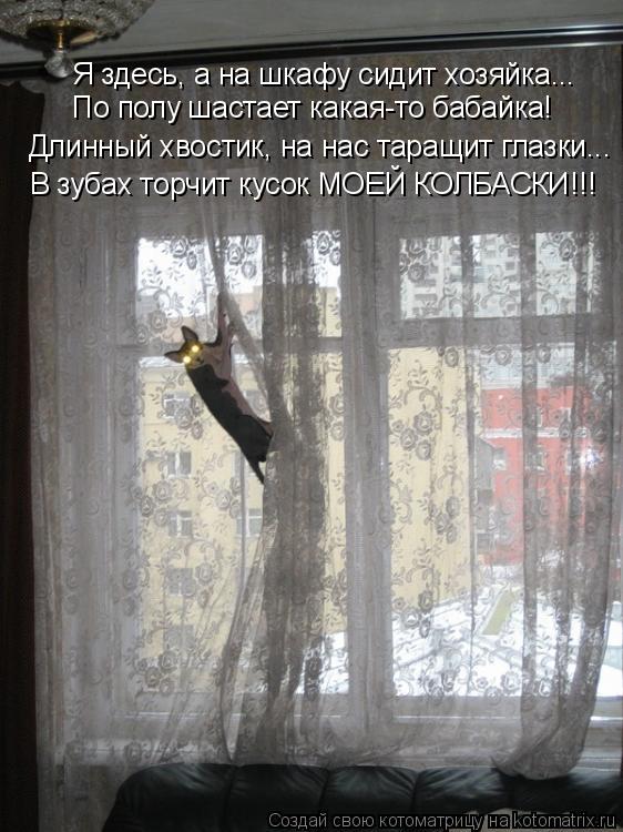 Я здесь, а на шкафу сидит хозяйка... По полу шастает какая-то бабайка! В зубах торчит кусок МОЕЙ КОЛБ... Котоматрица: Я здесь, а на шкафу сидит хозяйка... По полу шастает какая-то бабайка! В зубах торчит кусок МОЕЙ КОЛБАСКИ!!! Длинный хвостик, на нас таращит гла