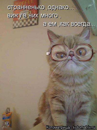 странненько ,однако... вижу в них много , а ем ,как всегда...... Котоматрица: странненько ,однако... вижу в них много , а ем ,как всегда...