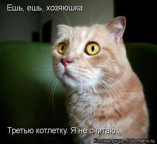 Ешь, ешь, хозяюшка. Третью котлетку. Я не считаю.... Котоматрица: Ешь, ешь, хозяюшка. Третью котлетку. Я не считаю.