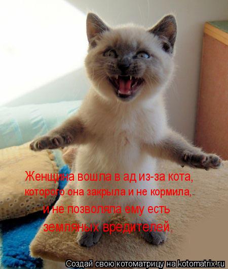 Женщина вошла в ад из-за кота, которого она закрыла и не кормила, и не позволяла ему есть земляных вр... Котоматрица: Женщина вошла в ад из-за кота, которого она закрыла и не кормила, и не позволяла ему есть земляных вредителей.
