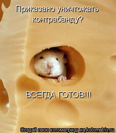 Приказано уничтожать контрабанду? ВСЕГДА ГОТОВ!!!... Котоматрица: Приказано уничтожать контрабанду? ВСЕГДА ГОТОВ!!!