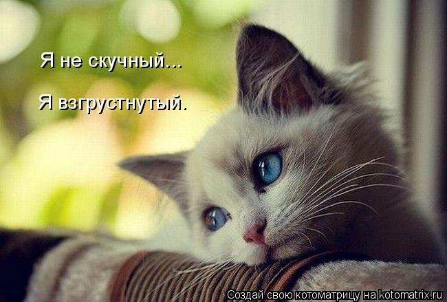 Я не скучный... Я взгрустнутый.... Котоматрица: Я не скучный... Я взгрустнутый.