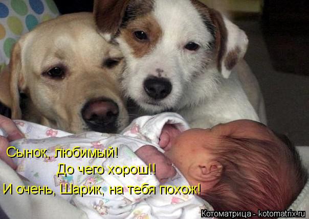 Сынок, любимый! До чего хорош!! И очень, Шарик, на тебя похож!... Котоматрица: Сынок, любимый! До чего хорош!! И очень, Шарик, на тебя похож!