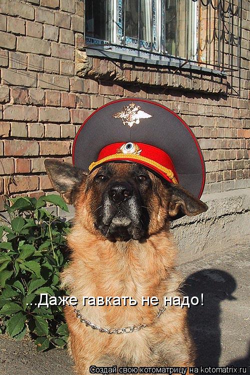 ...Даже гавкать не надо!... Котоматрица: ...Даже гавкать не надо!