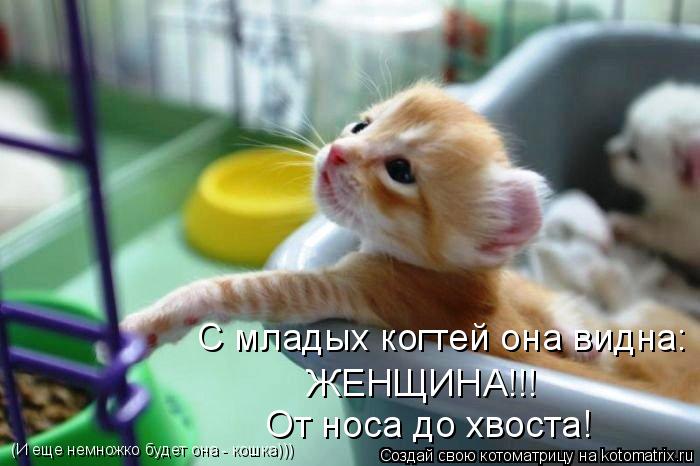 (И еще немножко будет она - кошка))) С младых когтей она видна: ЖЕНЩИНА!!! От носа до хвоста!... Котоматрица: (И еще немножко будет она - кошка))) С младых когтей она видна: ЖЕНЩИНА!!! От носа до хвоста!