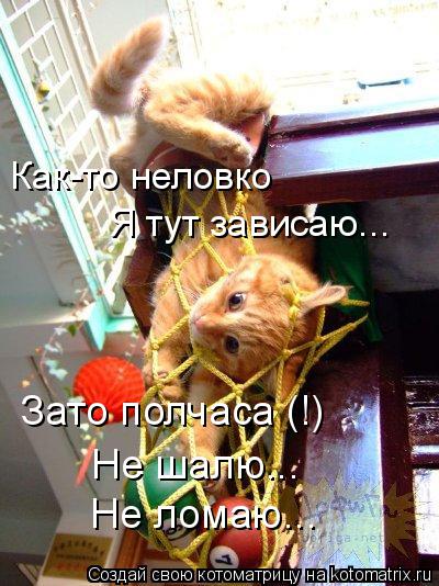 Как-то неловко Я тут зависаю... Зато полчаса (!) Не шалю... Не ломаю...... Котоматрица: Как-то неловко Я тут зависаю... Зато полчаса (!) Не шалю... Не ломаю...